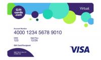 Visa Gift Card