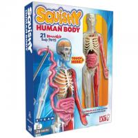 SmartLab Squishy Human Body Toy