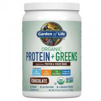 Garden of Life Organic Protein and Greens Protein Powder