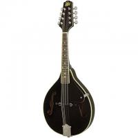 Rogue RM-100A A-Style Mandolin