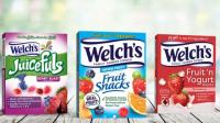 Welchs Fruit Snacks Best Kids Lunch Box Party Kit for 250 People
