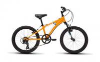 Diamondback Cobra 20in Youth Mountain Bike