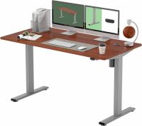 Flexispot EG1 Essential 55x27 Adjustable Electric Standing Desk
