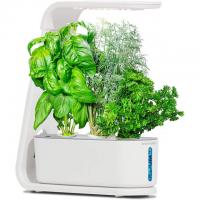 AeroGarden Sprout 3-Pod Hydroponic Indoor Garden