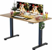 55in ErGear Height Adjustable Electric Standing Computer Desk