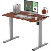 Flexispot EG1 40x24 Height Adjustable Electric Standing Desk