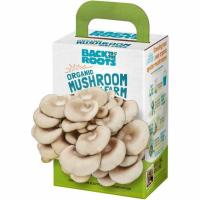 Back to the Roots Organic Mini Oyster Mushroom Grow Kit