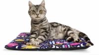 EveryYay Essentials Cat Mat