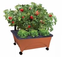 City Pickers Patio Raised Garden Bed Grow Box Kit