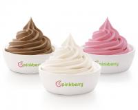 Pinkberry Frozen Yogurt