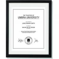 Umbra Floating 11x14 Picture Frame