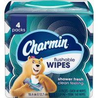 Charmin Wipes Shower Fresh 160 Wipes