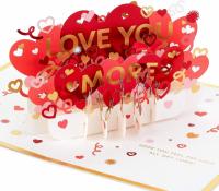 Hallmark Signature Paper Wonder Pop Up Love Card