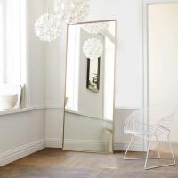 NeuType 65x22 Full Length Mirror Floor Mirror