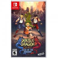 Double Dragon Gaiden Rise of the Dragons Nintendo Switch