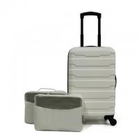 Protege 20in Hardside Carry-On ABS Luggage with 2 Packing Cubes