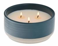 Better Homes and Gardens Blue Fern and Citrust 3-Wick Candle