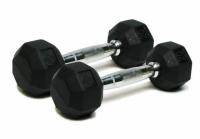 20lbs Well-Fit Rubber and Cast Iron Hex Dumbbells