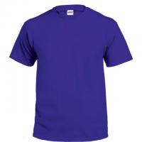 Gildan Adult T-Shirt