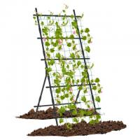 Tall Garden Trellis for Flower Vine Vegetable Fruit Pea