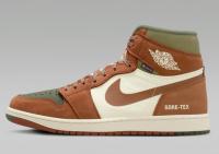 Nike Mens Air Jordan 1 Element Shoes