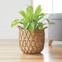 Better Homes and Gardens Basket Planter