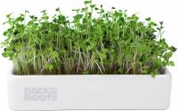 Back to the Roots Organic Microgreens Grow Kit with Ceramic Planter