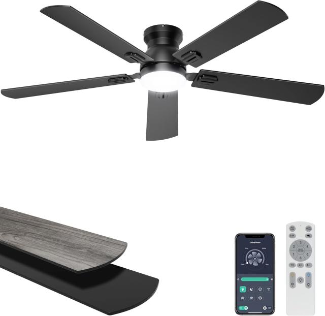 Ohniyou Ceiling Fans with Lights