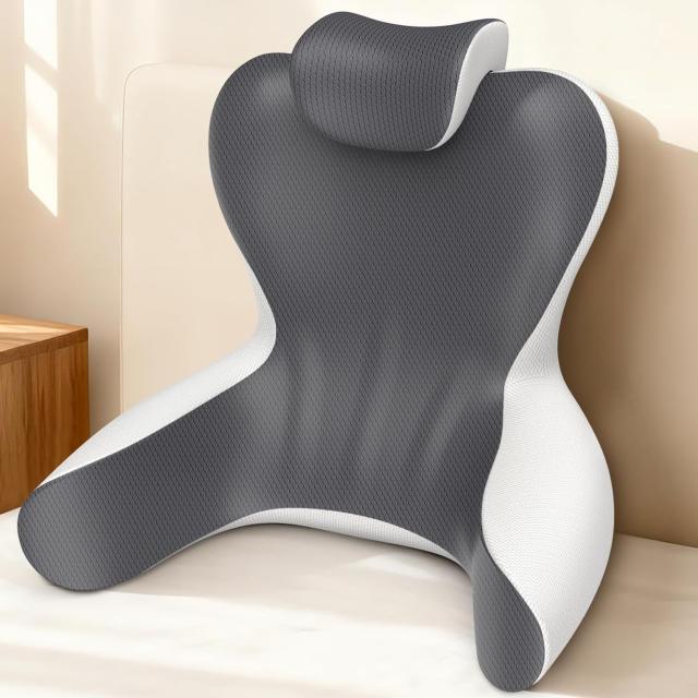 Hamyodo Back Support Pillow
