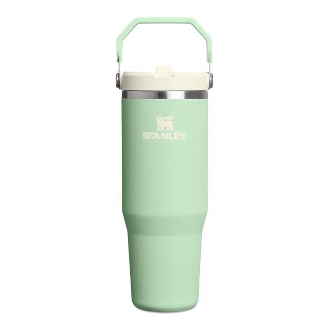 Stanley IceFlow 2.0 Flip Straw Tumbler Pistachio