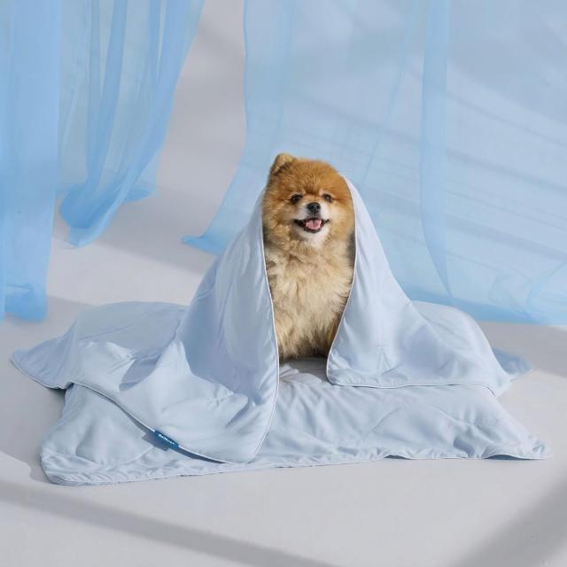 Bedsure Breathable Lightweight Cooling Blanket for Small Dogs