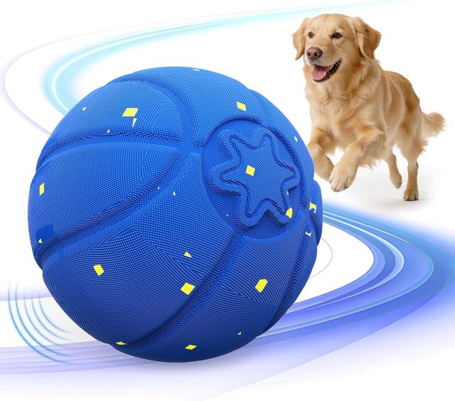 Invengo Interactive Dog Ball