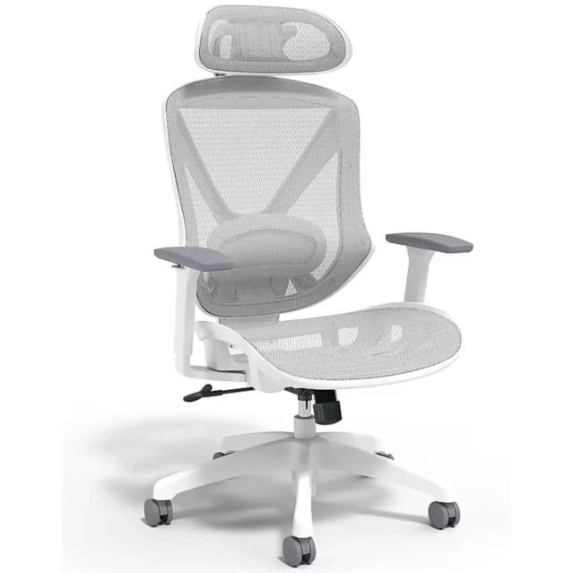 Staples Dexley Ergonomic Mesh Swivel Task Chair