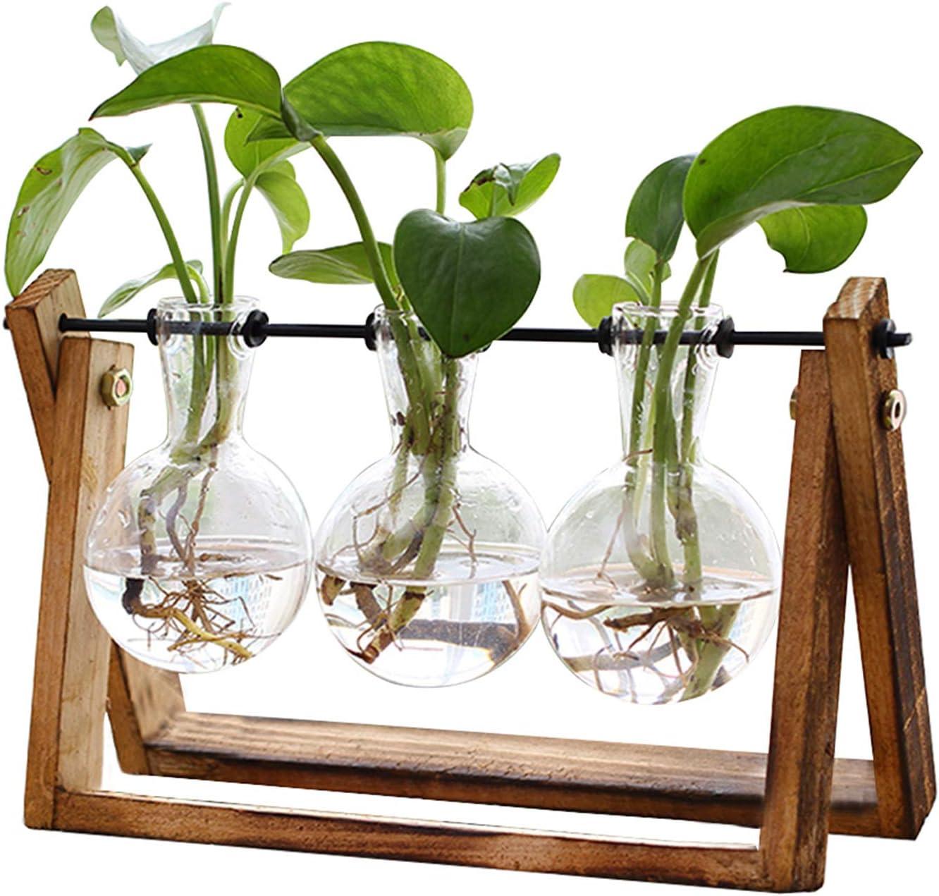 Plant Terrarium with Wooden Stand Air Planter Bulb for $9.99