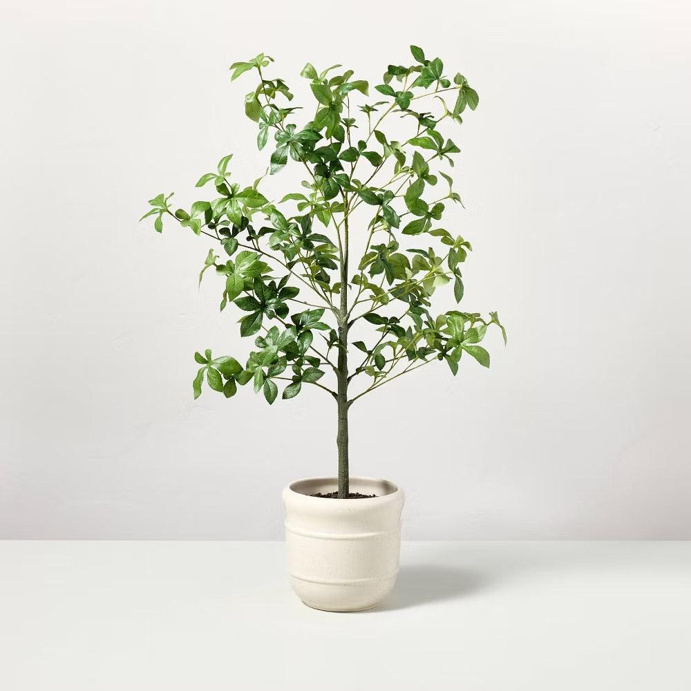 Faux Potted Gypsophila Leaf Tree for $22.99 Shipped