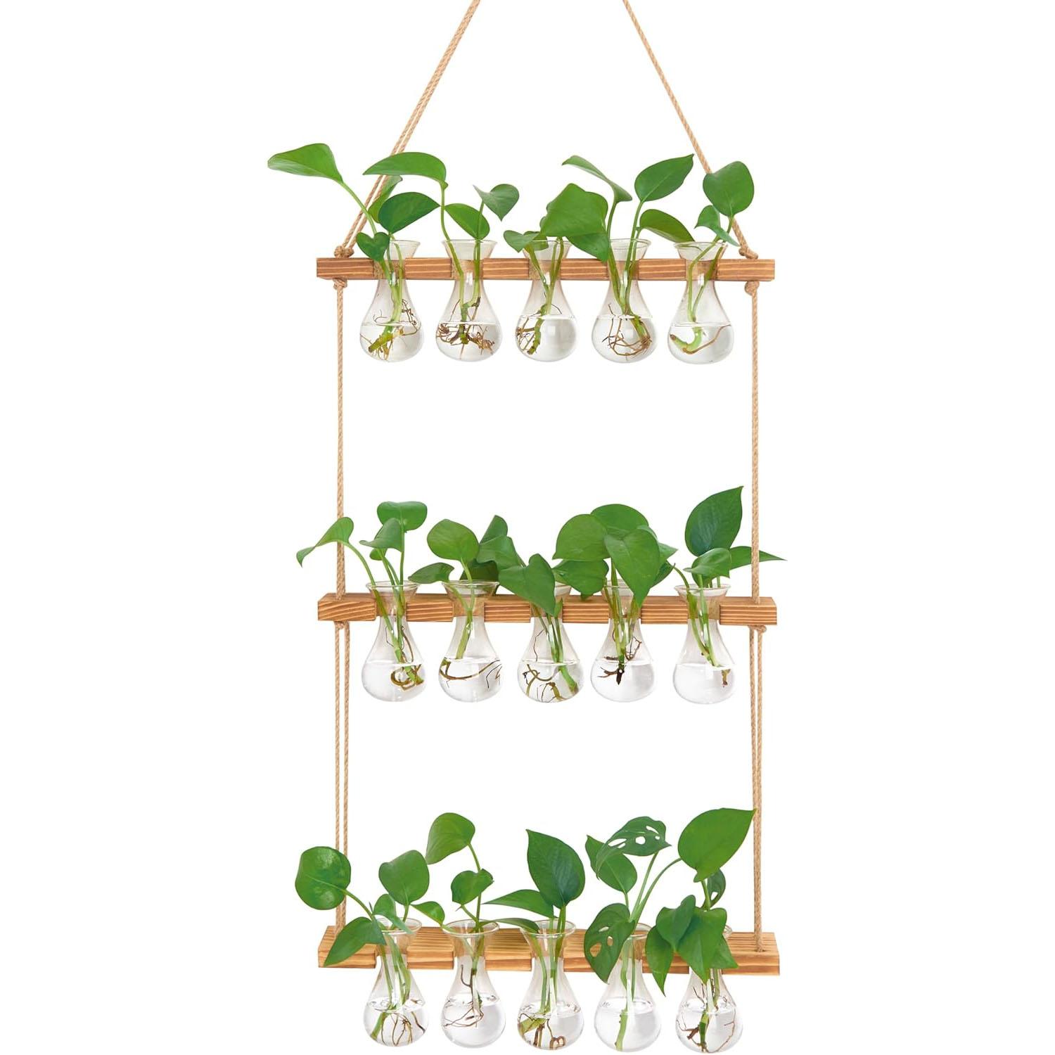Wall Hanging Propagation Station with Bulb Vase for $17.91