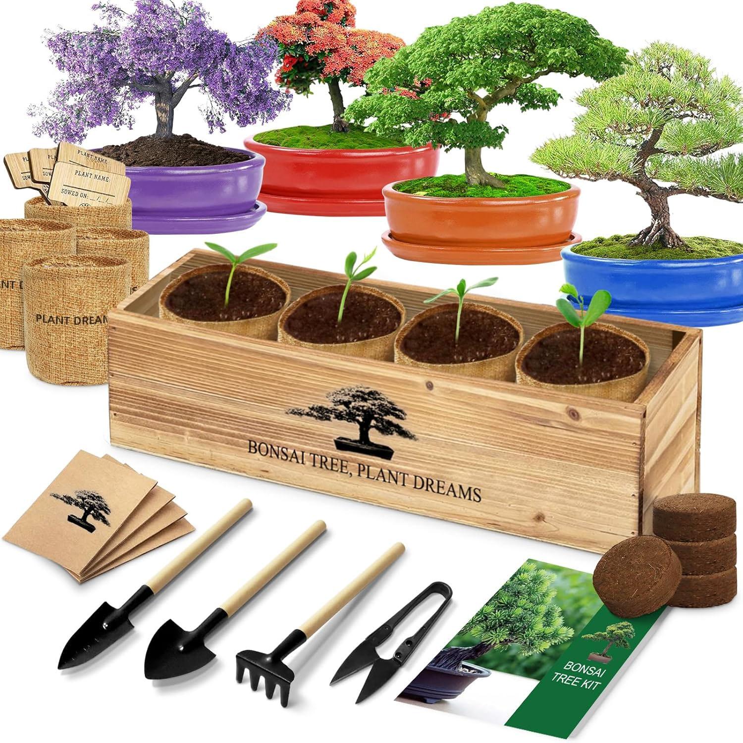 Bonsai Tree Starter Kit for $14.24 Shipped