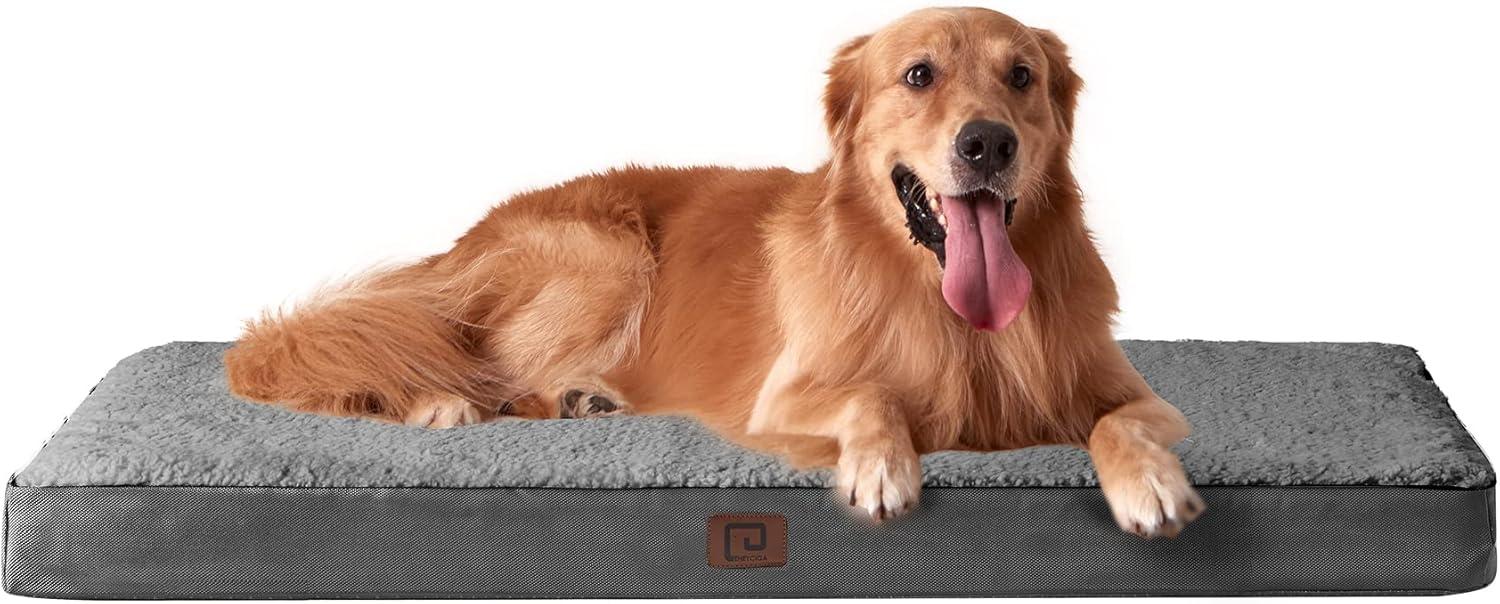 Orthopedic XL Dog Beds for Extra Large Dogs for $18.89 Shipped