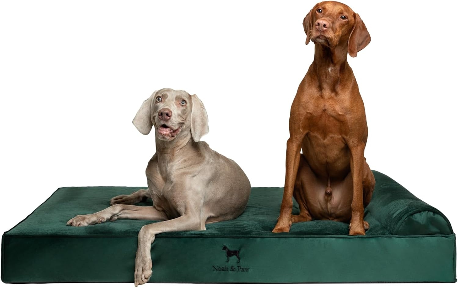 Noah and Paw Giant Dog Bed for $65 Shipped