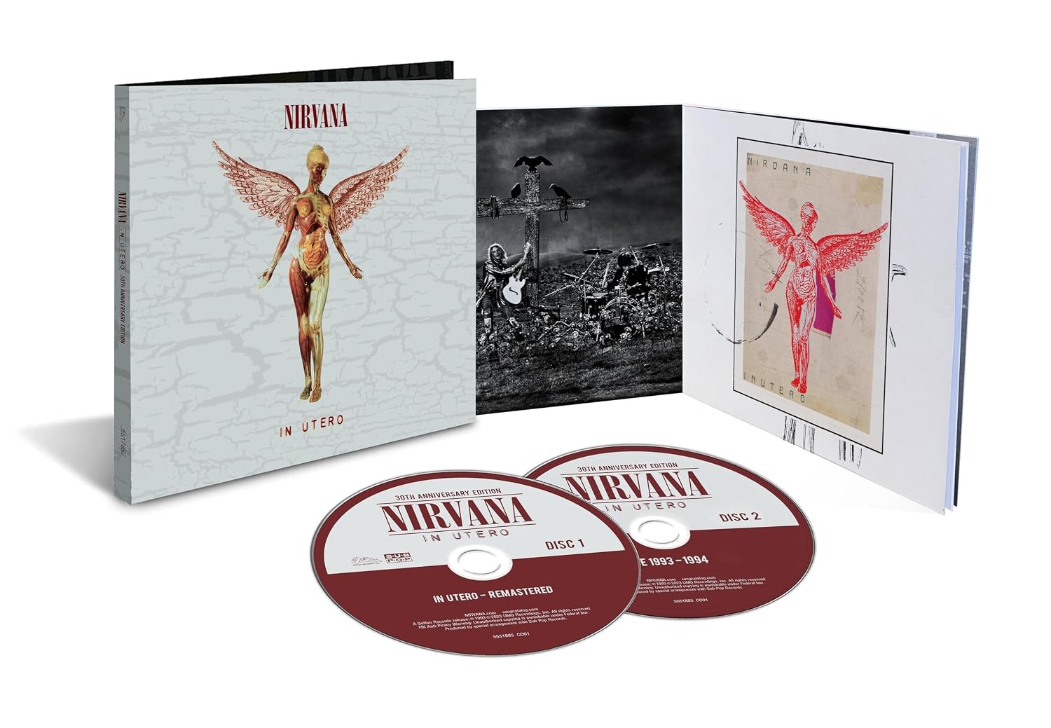 Nirvana In Utero 30th Anniversary Audio CD for $13.98