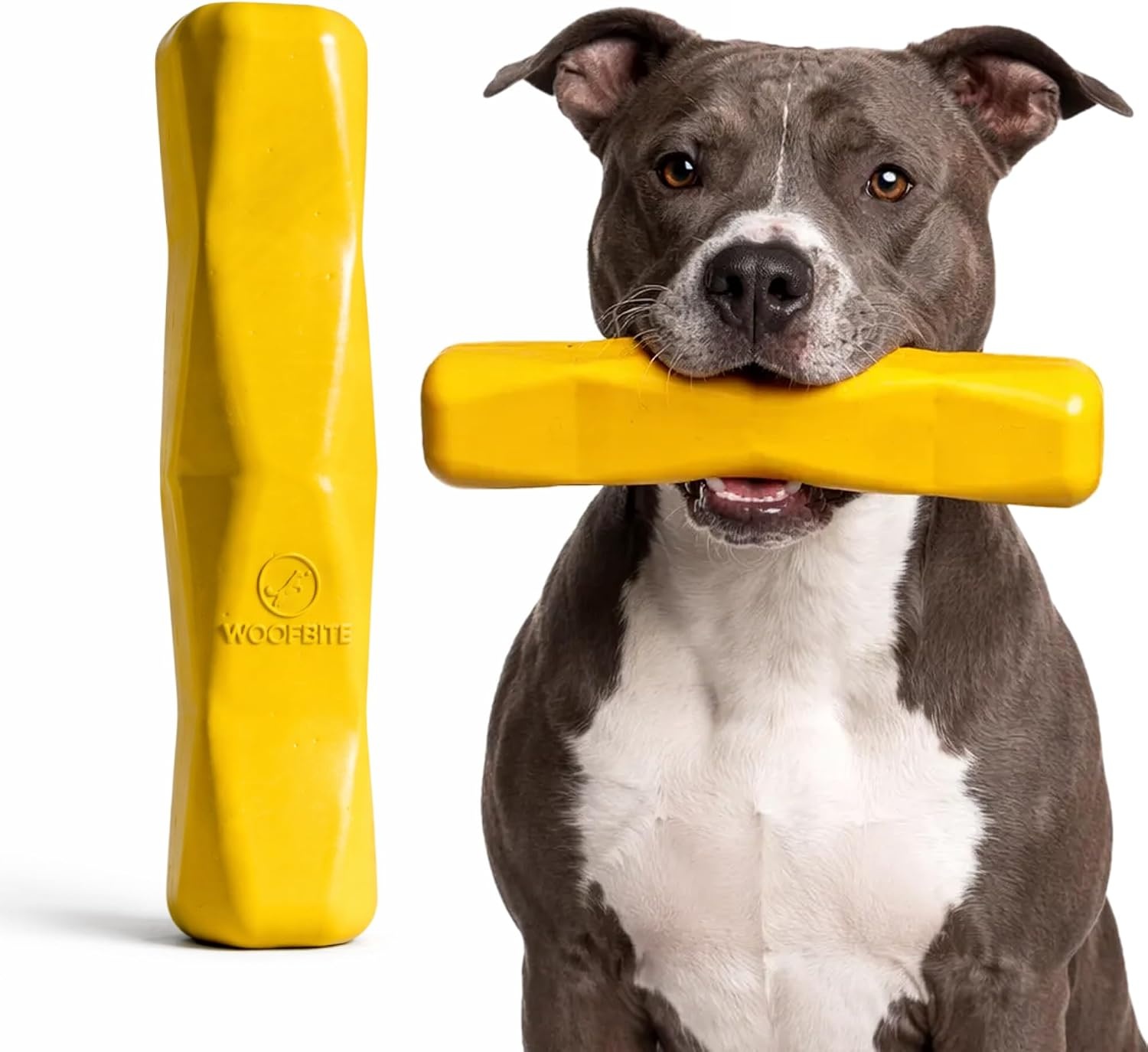 Giant XL Virtually Indestructible Dog Stick for $14.99