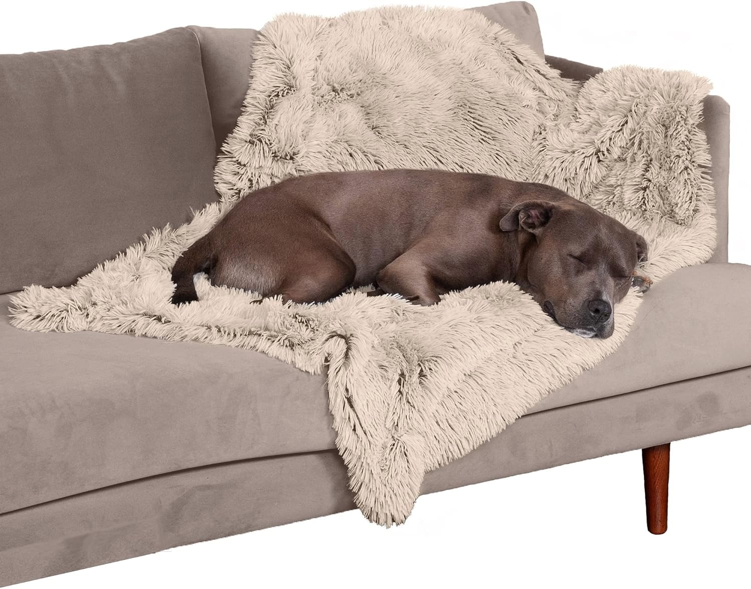 Furhaven Waterproof Throw Blanket for Dogs and Cats for $10.19