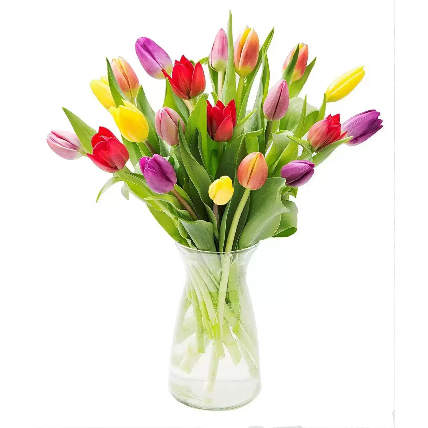 20-Stem Bunch of Tulips at Whole Foods Deals