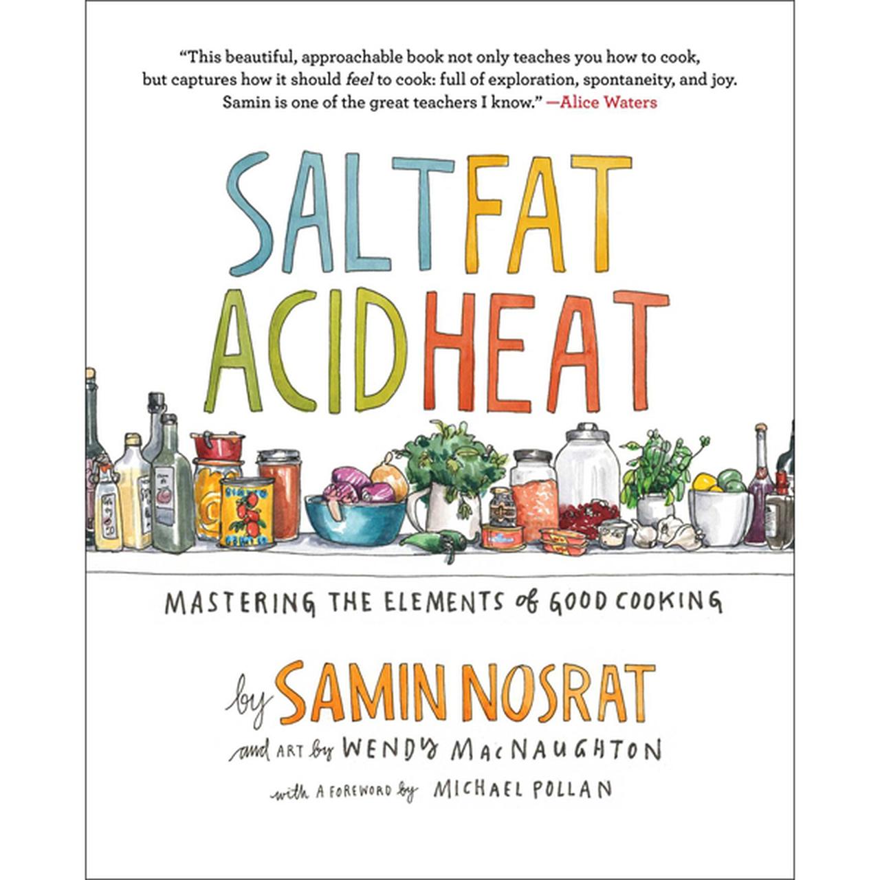 Salt Fat Acid Heat Mastering the Elements of Good Cooking eBook for $3.99