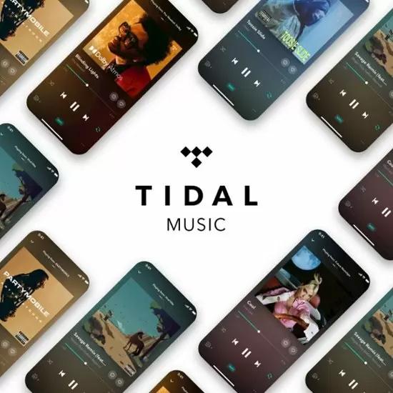 Tidal HiFi Music Streaming Service 6 Months Service for $4.99