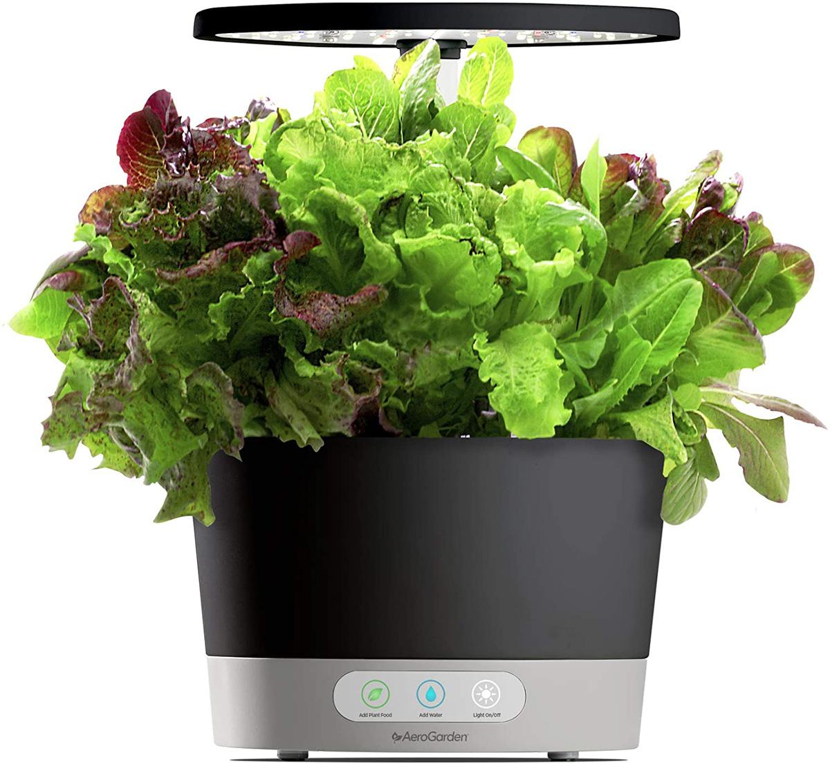 Aerogrow AeroGarden Harvest 360 for $84.95 Shipped