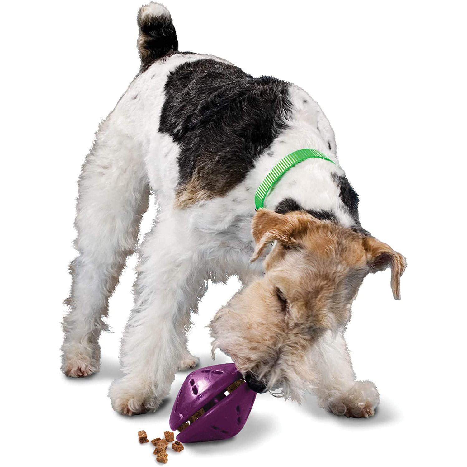 PetSafe Busy Buddy Twist n Treat Dispensing Dog Toy for $6.95
