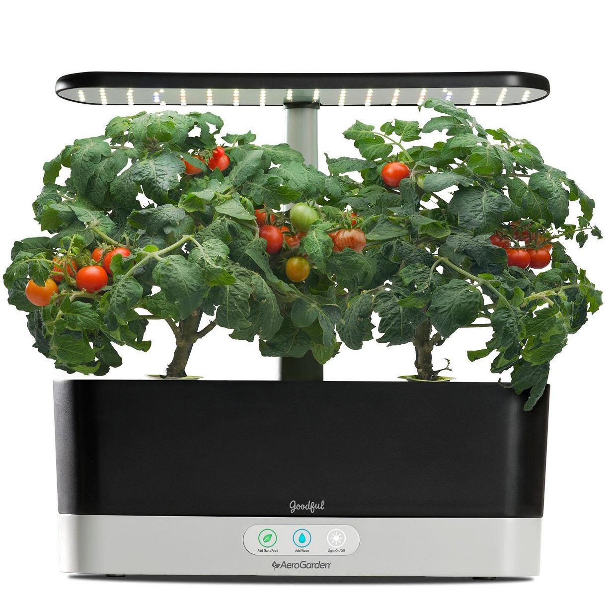 AeroGarden Goodful Harvest Slim Countertop Herb Garden for $79.99 Shipped