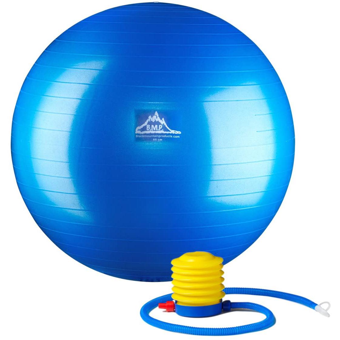 Professional Grade Stability Ball for $9.58