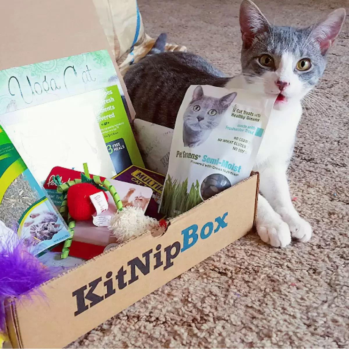 KitNipBox Cat Subscription Box for $12.99 Shipped